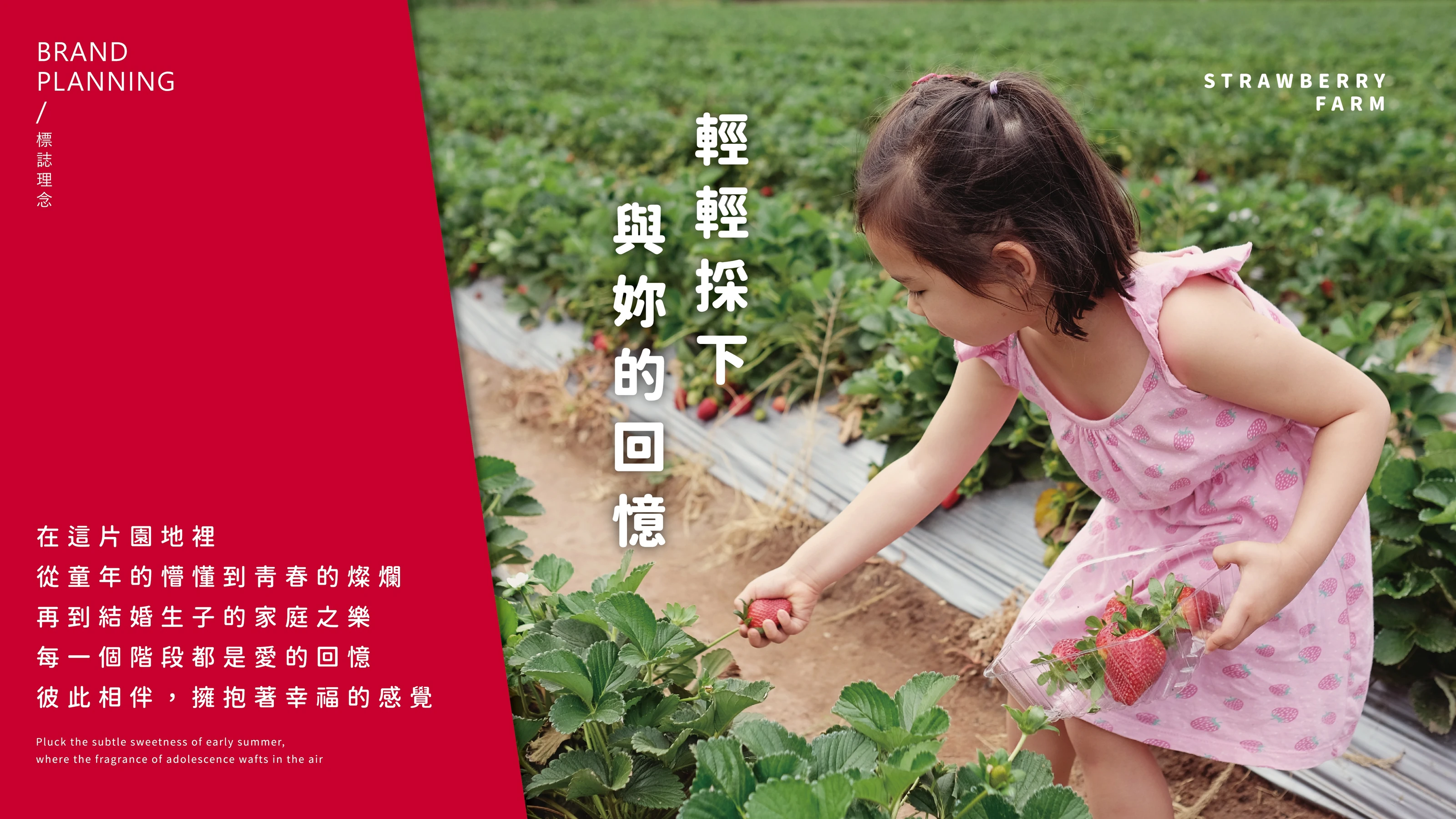 不能莓有妳 草莓園品牌識別與手提盒包裝 03