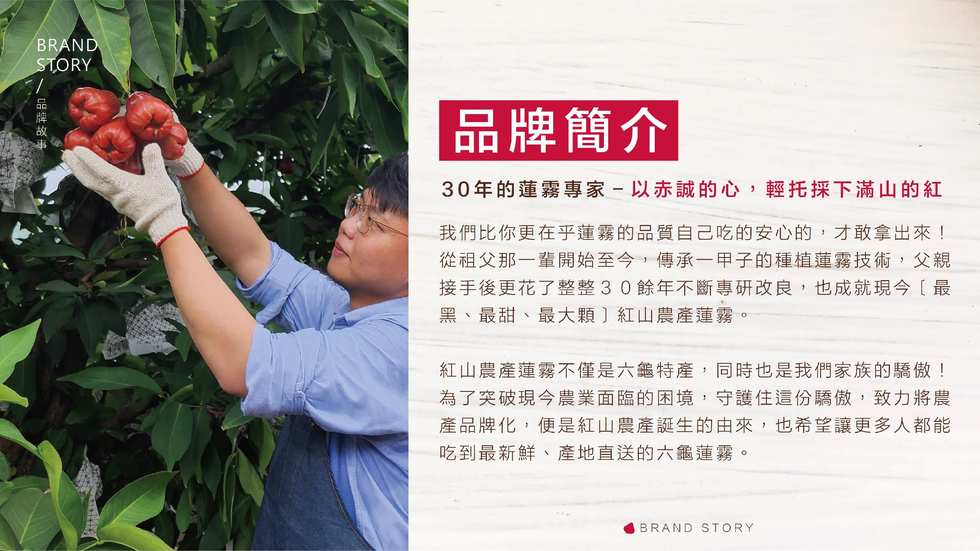 紅山農產品牌策略與識別設計 09