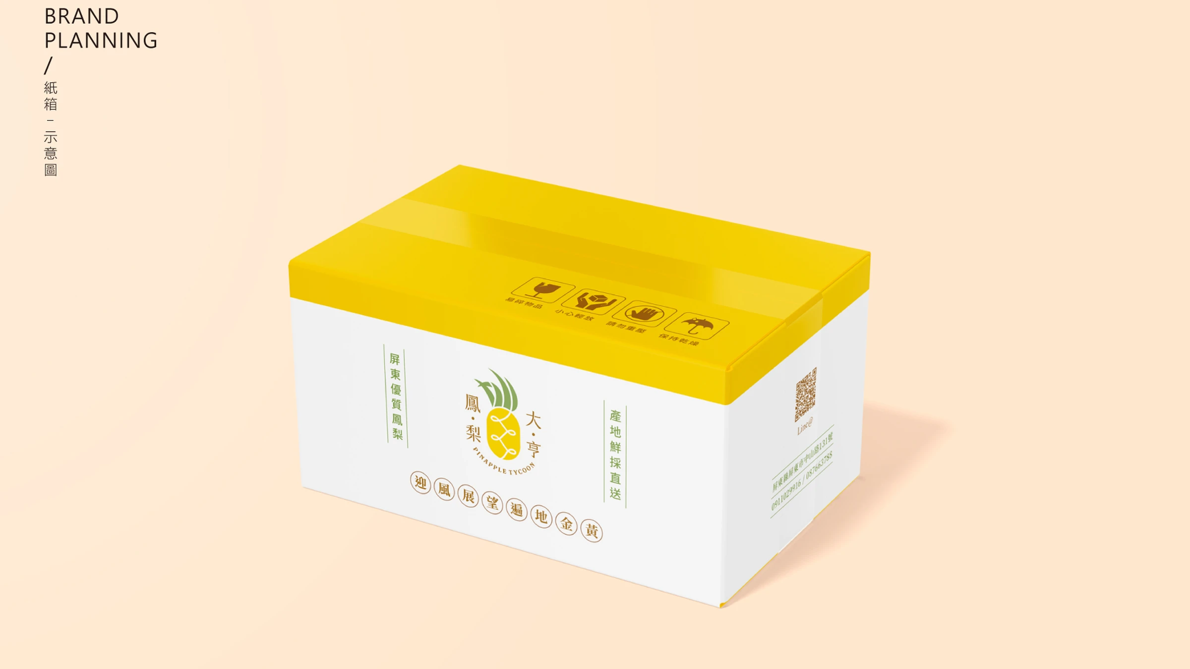 鳳梨大亨品牌識別、紙箱包裝與社群平台建置 27