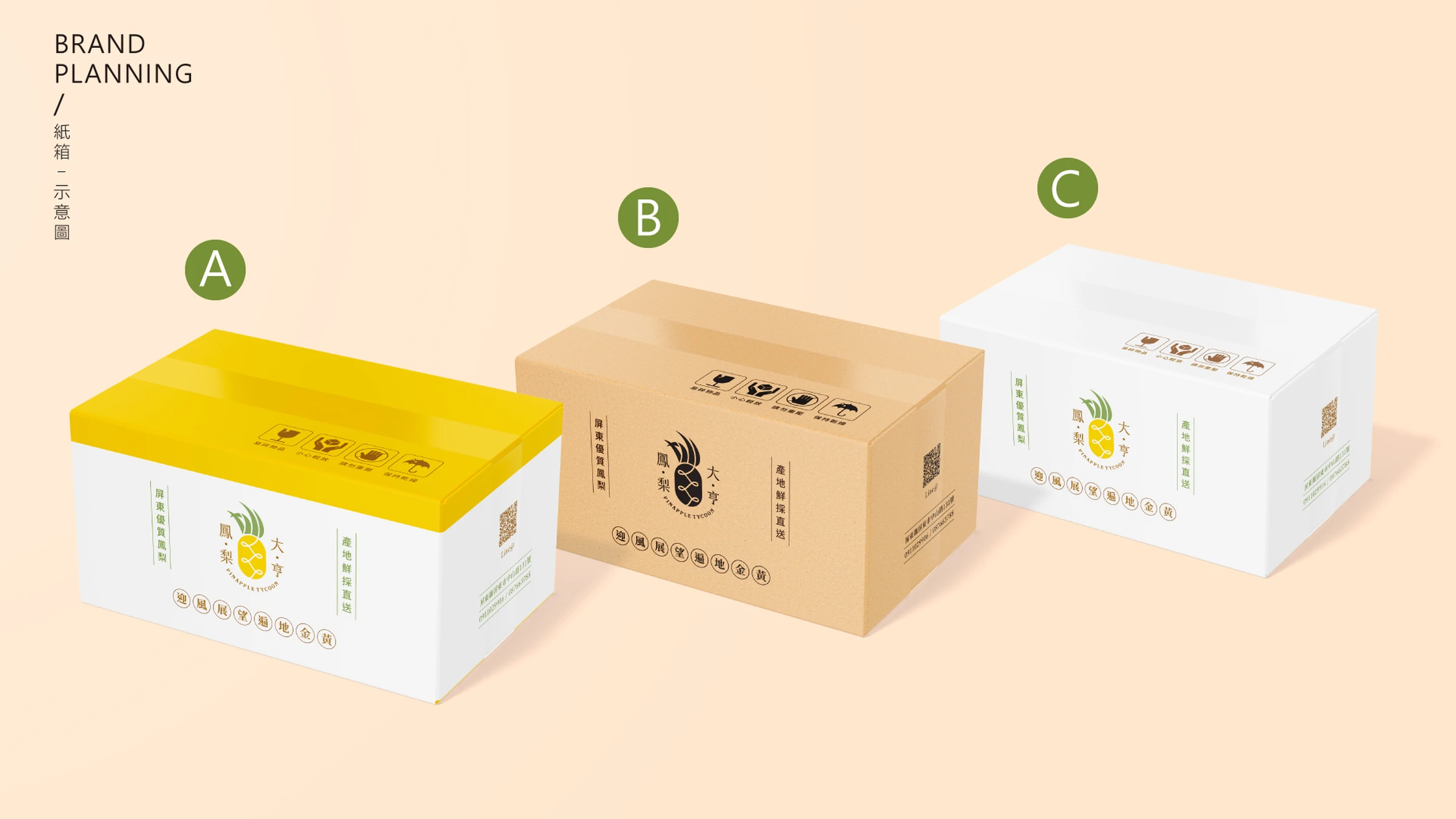 鳳梨大亨品牌識別、紙箱包裝與社群平台建置 20