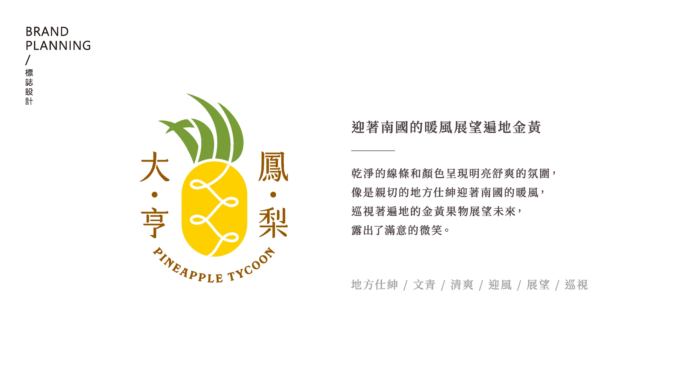 鳳梨大亨品牌識別、紙箱包裝與社群平台建置 04