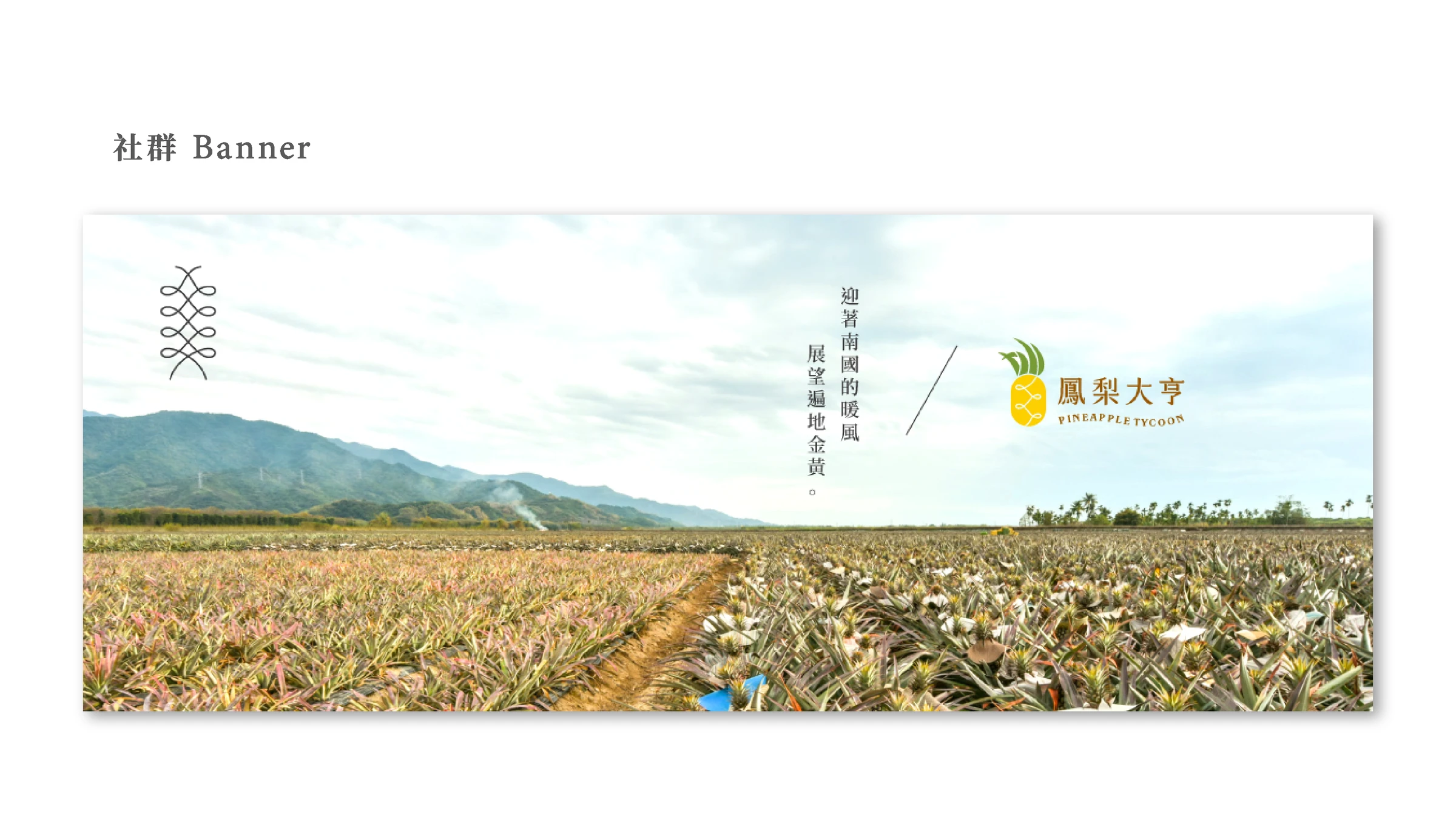 鳳梨大亨|社群Banner