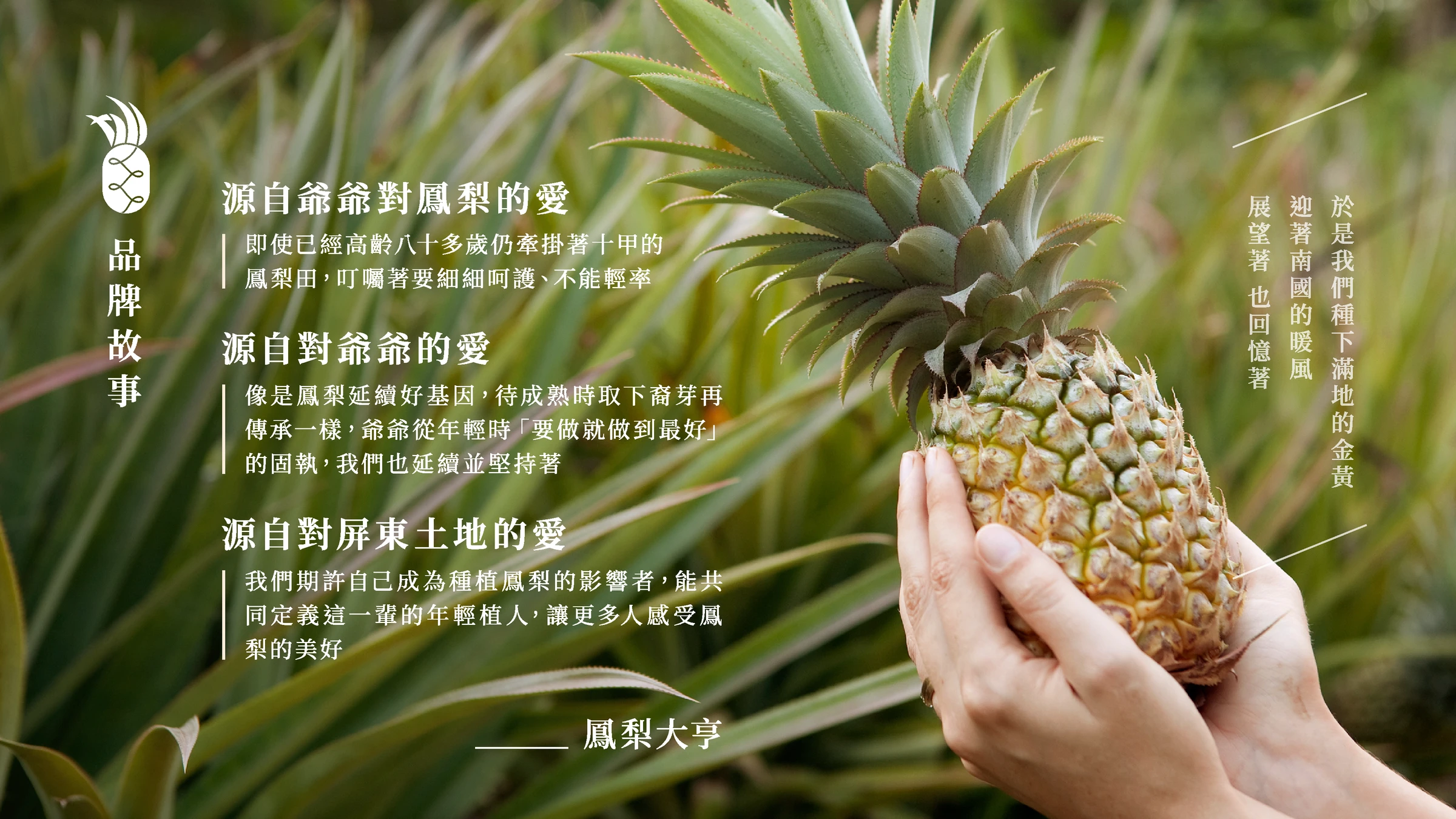 鳳梨大亨|社群貼文