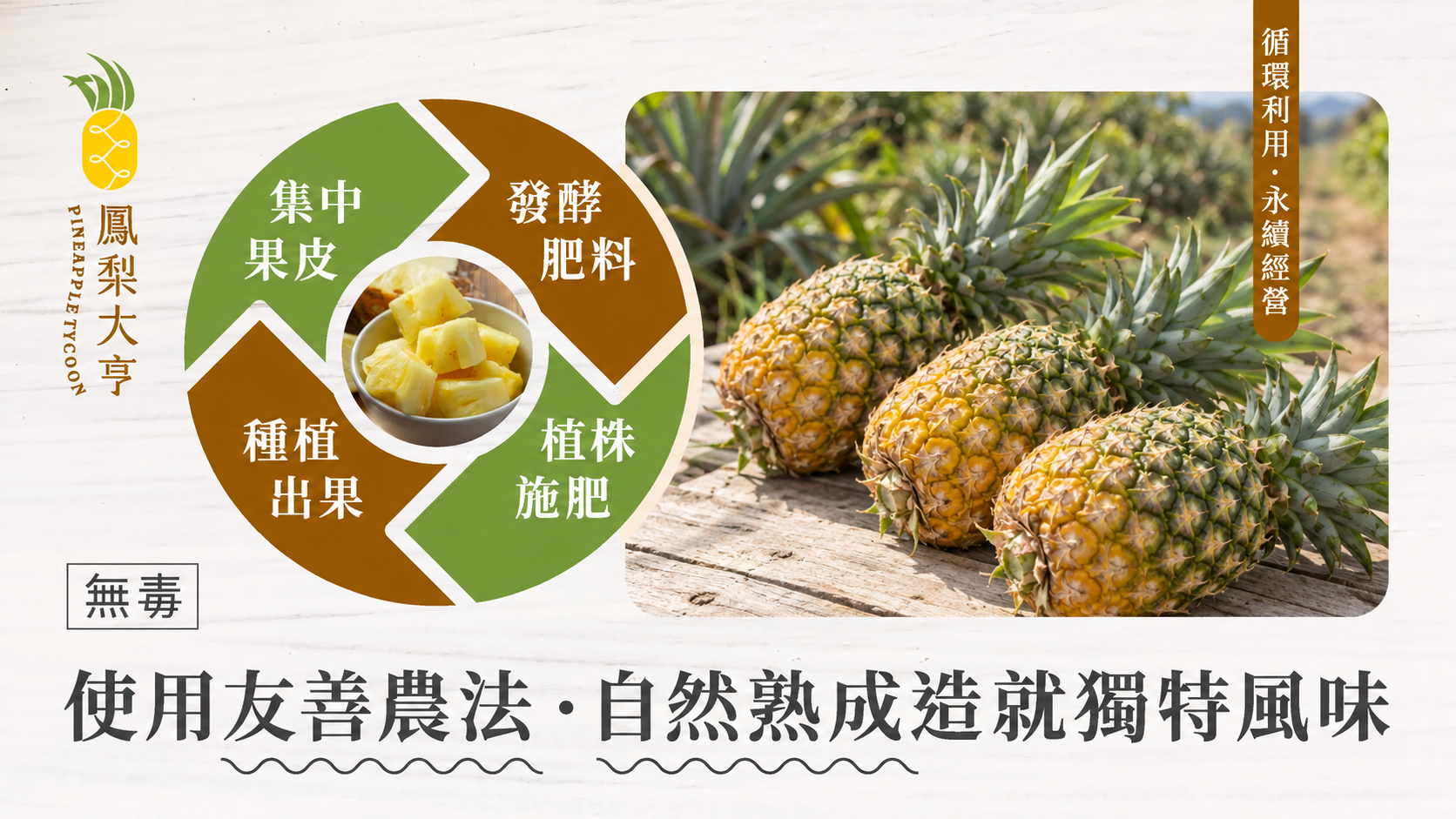 鳳梨大亨｜電商商品圖