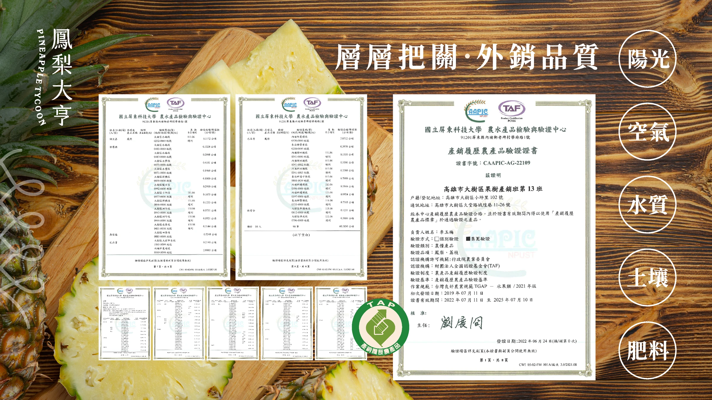鳳梨大亨品牌識別、紙箱包裝與社群平台建置 35